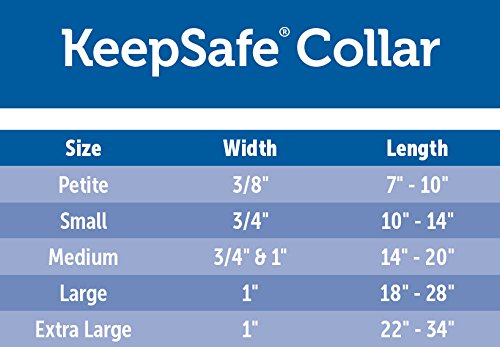 Foto 6 pulgar | Collar Desmontable PetSafe Keepsafe para Perros o Cachorros - Venta Internacional