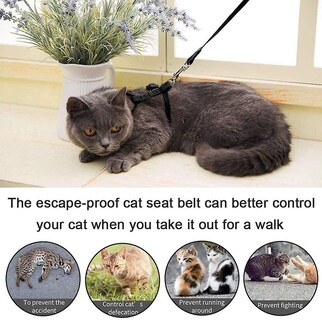Foto 4 | Arnés Para Gatos Kitte Huoguo Ajustable De Nailon Con Correa De 120 Cm - Venta Internacional.
