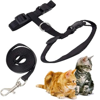Foto 5 | Arnés Para Gatos Kitte Huoguo Ajustable De Nailon Con Correa De 120 Cm - Venta Internacional.