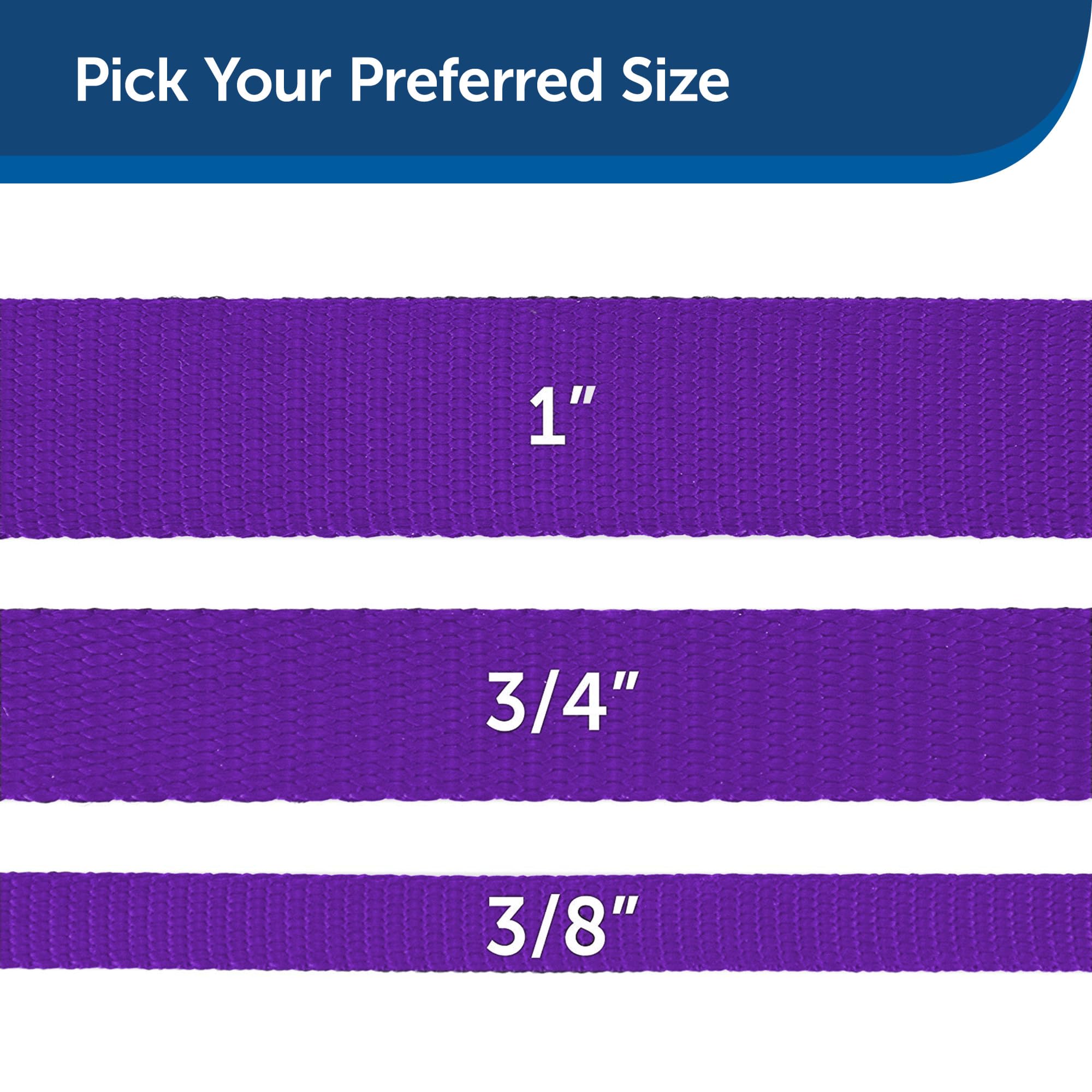 Foto 6 pulgar | Correa De Nailon Petsafe Para Perros, 1 Pulgada X 6 Pies, Fuerte Y Duradera, Color Morado Oscuro - Venta Internacional.