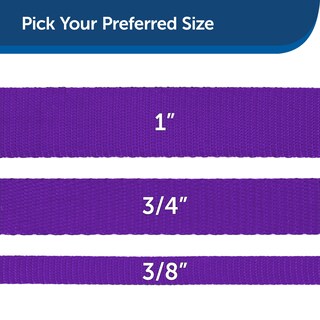 Foto 5 | Correa De Nailon Petsafe Para Perros, 1 Pulgada X 6 Pies, Fuerte Y Duradera, Color Morado Oscuro - Venta Internacional.
