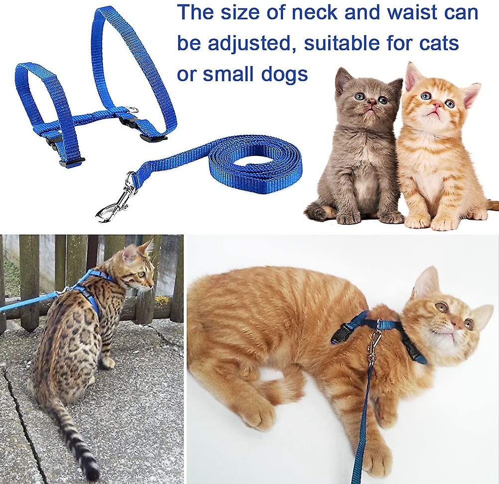Foto 4 pulgar | Arnés Para Gatos Kitte Huoguo Ajustable De Nailon Con Correa De 120 Cm - Venta Internacional.