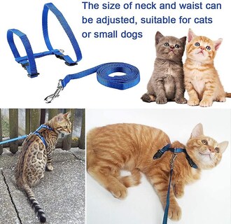 Foto 3 | Arnés Para Gatos Kitte Huoguo Ajustable De Nailon Con Correa De 120 Cm - Venta Internacional.
