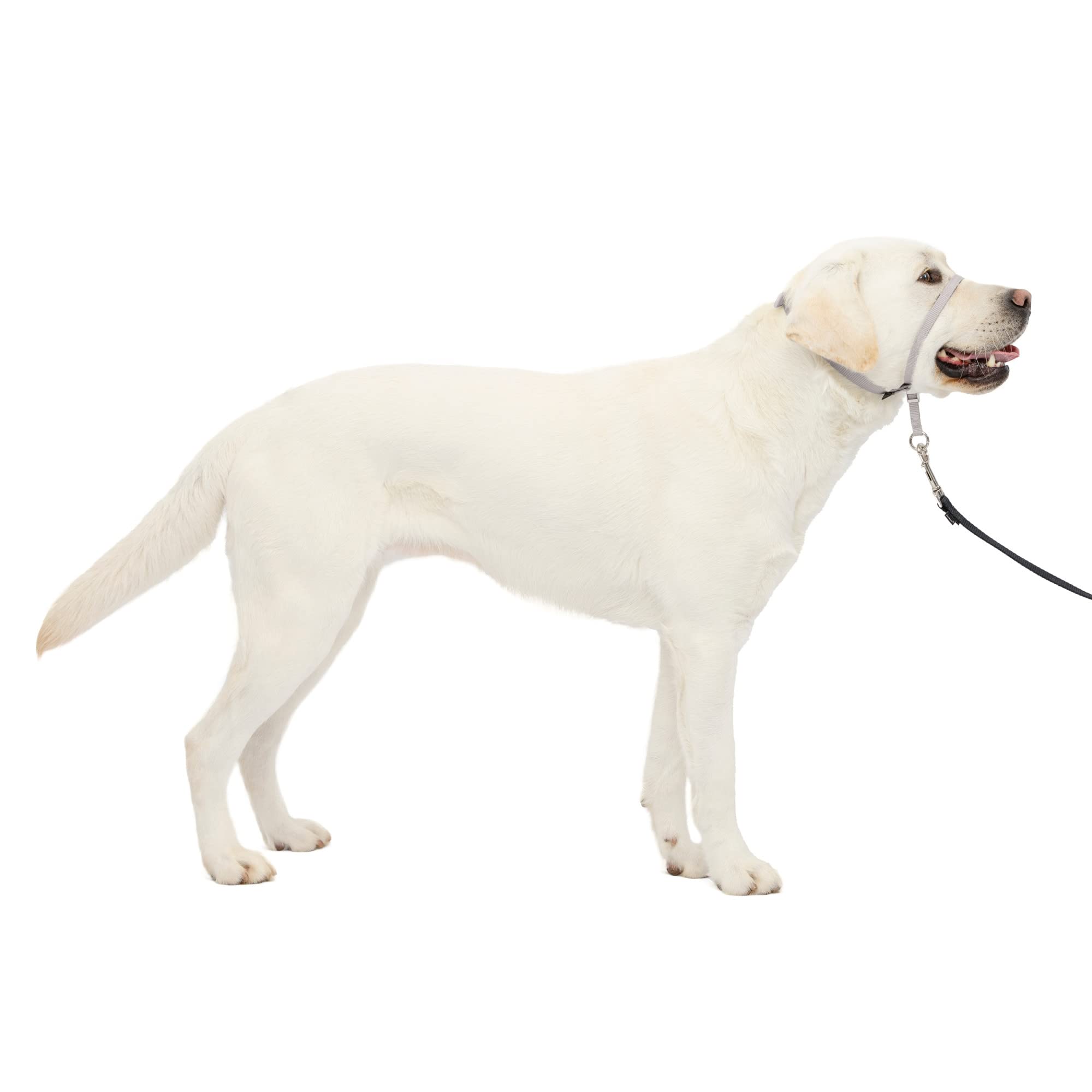 Collar Para Perro Headcollar Petsafe Gentle Leader Sin Tirones, Tamaño Grande - Venta Internacional.