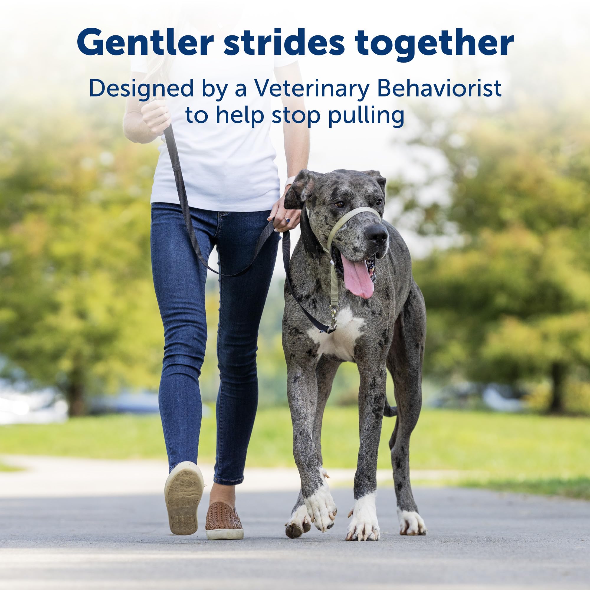 Foto 2 | Collar Para Perro Headcollar Petsafe Gentle Leader Sin Tirones, Tamaño Grande - Venta Internacional.
