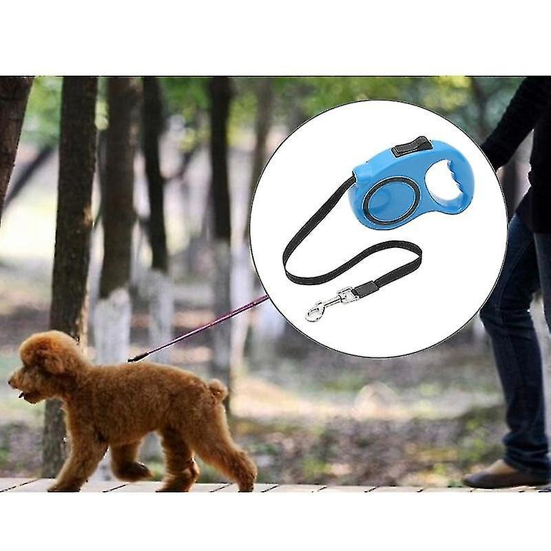 Correa Retráctil Para Mascotas Con Extensión Automática De 3 M Para Pájaros, Color Azul - Venta Internacional.