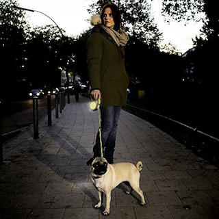 Foto 5 | Correa De Cinta Flexi New Classic Neon Reflect M De 5 M Para Perros De Tamaño Mediano - Venta Internacional.