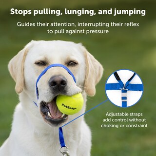 Foto 3 | Collar De Cabeza Petsafe Gentle Leader No-pull Para Perro, Tamaño Grande - Venta Internacional.