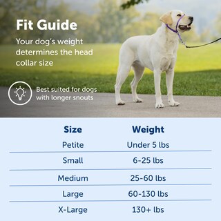 Foto 5 | Collar De Cabeza Petsafe Gentle Leader No-pull Para Perro, Tamaño Grande - Venta Internacional.