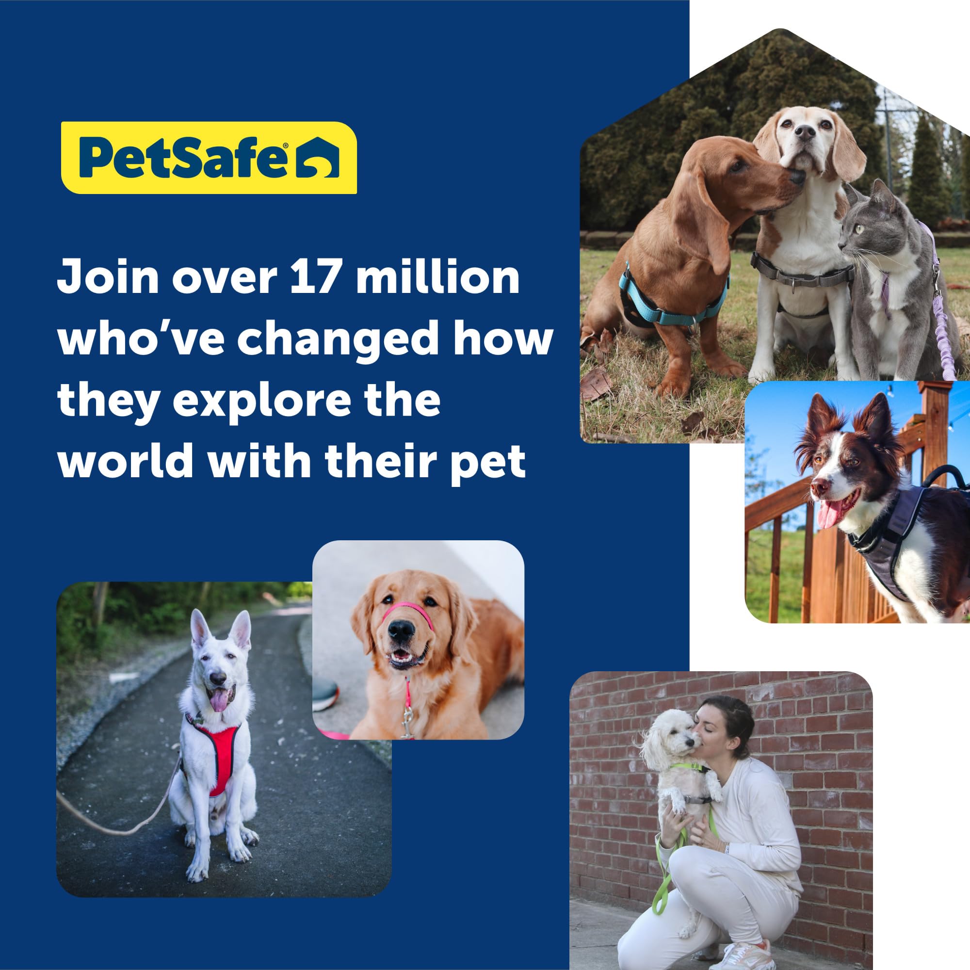 Foto 7 pulgar | Collar De Cabeza Petsafe Gentle Leader No-pull Para Perro, Tamaño Grande - Venta Internacional.