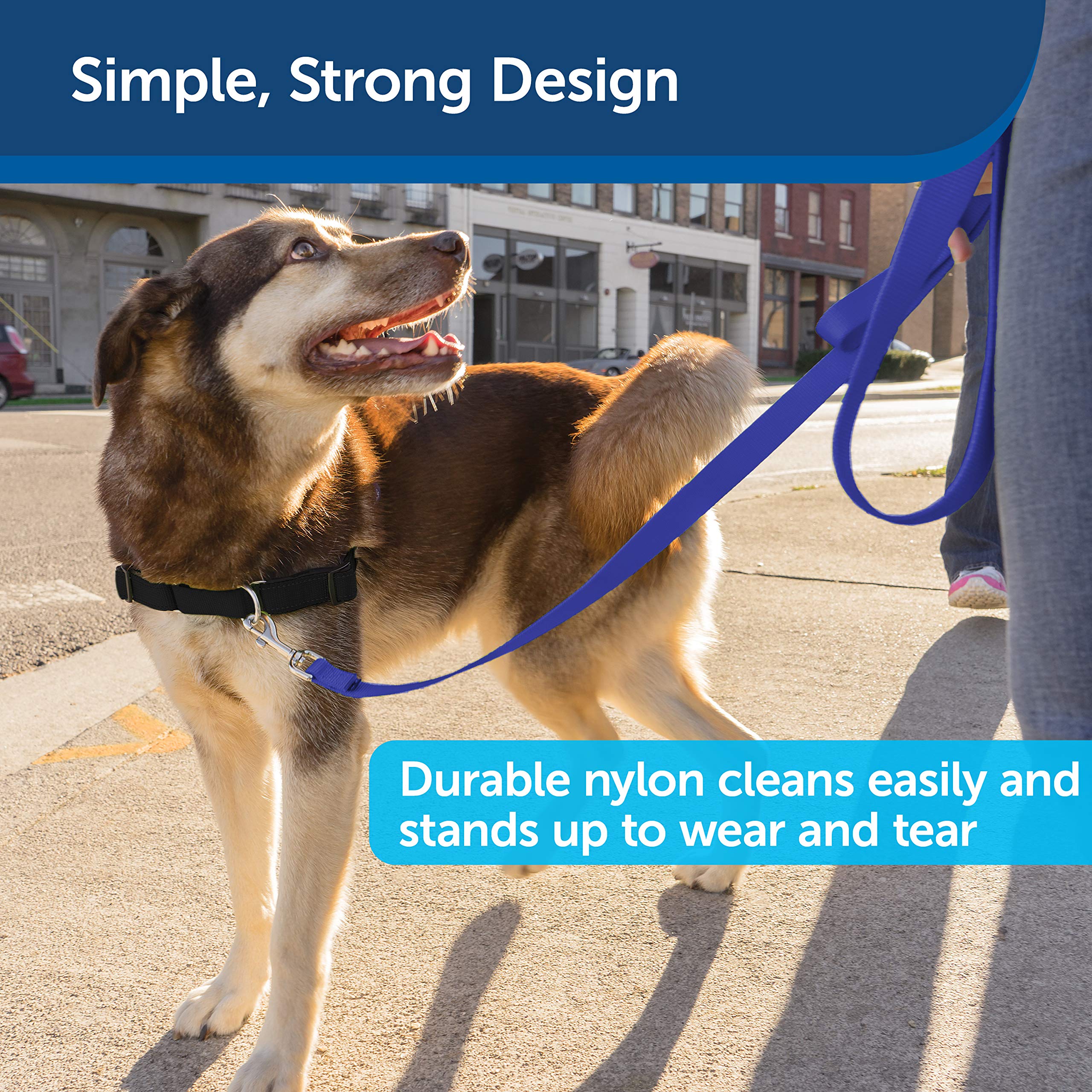 Foto 5 pulgar | Correa Para Perros Petsafe De Nailon, Resistente Y Duradera, 1 X 6 Pies, Azul Real - Venta Internacional.