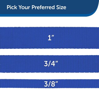 Foto 5 | Correa Para Perros Petsafe De Nailon, Resistente Y Duradera, 1 X 6 Pies, Azul Real - Venta Internacional.