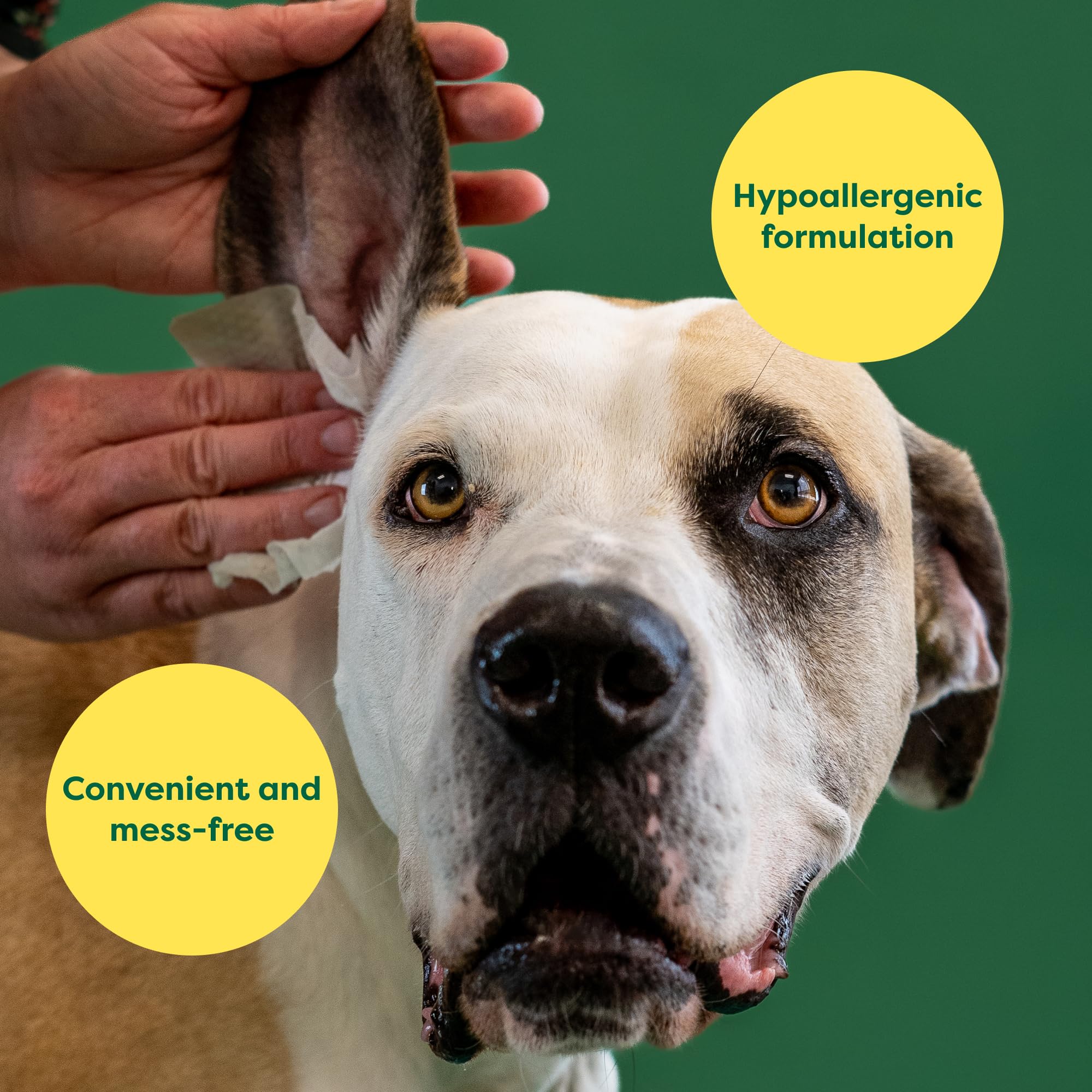 Foto 5 pulgar | Toallitas Para Orejas De Perro Con Clasificación Terrestre, Hipoalergénicas, 60 Unidades - Venta Internacional.