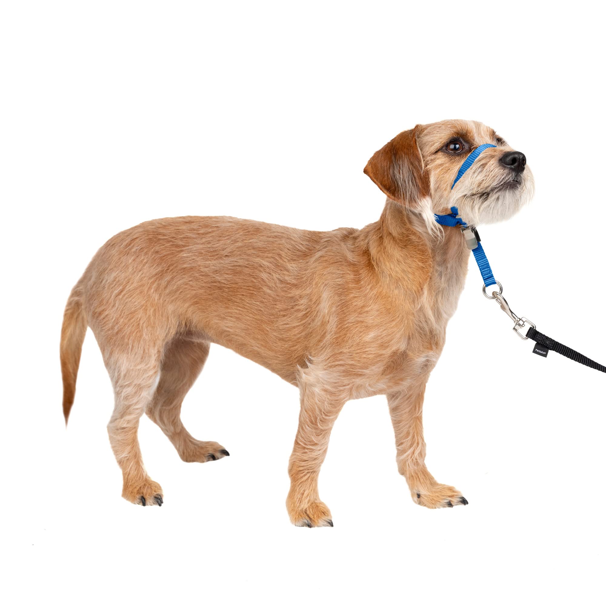 Foto 2 pulgar | Collar Para Perros Headcollar Petsafe Gentle Leader, Sin Tirones, Pequeño - Venta Internacional.
