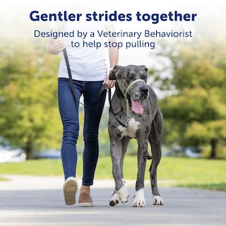 Foto 2 | Collar Para Perros Headcollar Petsafe Gentle Leader, Sin Tirones, Pequeño - Venta Internacional.