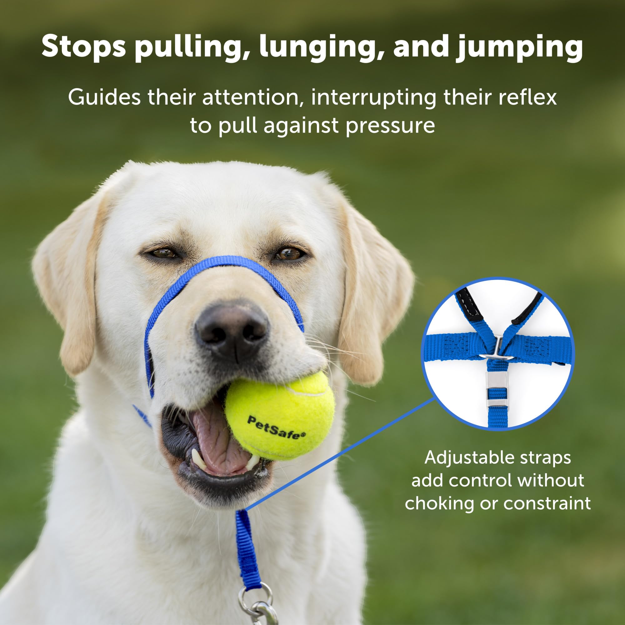 Foto 4 pulgar | Collar Para Perros Headcollar Petsafe Gentle Leader, Sin Tirones, Pequeño - Venta Internacional.