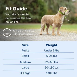 Foto 5 | Collar Para Perros Headcollar Petsafe Gentle Leader, Sin Tirones, Pequeño - Venta Internacional.