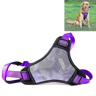 Foto 1 | Arnés Para Perros, Correa, Collar Y Cinturón Tuffhound 1639, Talla M, Morado - Venta Internacional.