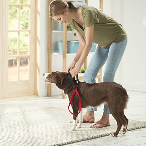 Foto 5 | Correa Para Perros Franklin Pet Supply, De Nailon, Cómoda, D - Venta Internacional.