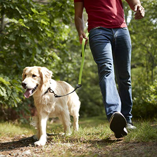 Foto 6 | Correa Para Perros Franklin Pet Supply, De Nailon, Cómoda, D - Venta Internacional.