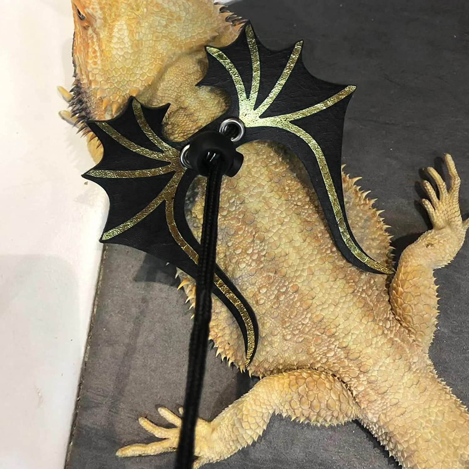 Foto 2 | Juego De Correas Ajustables Para Lagartos Y Dragones Barbudos - Venta Internacional.