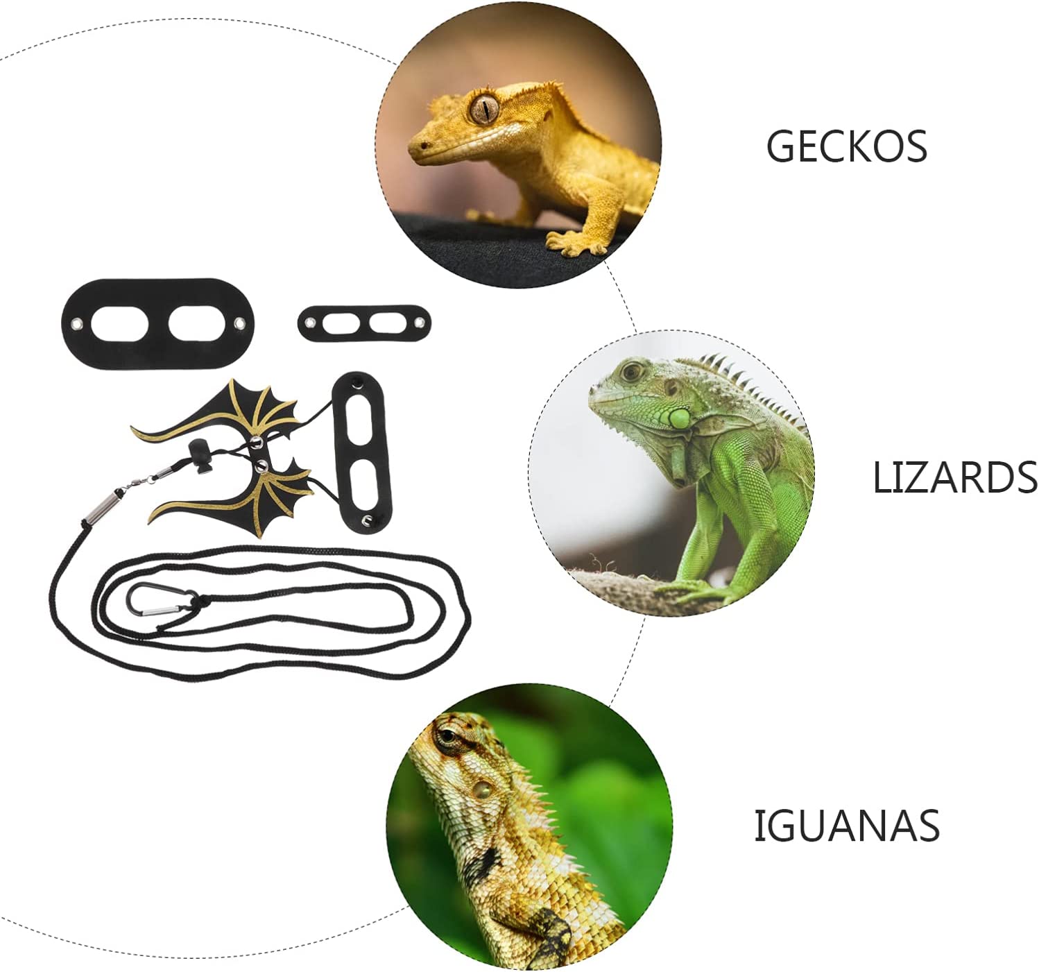 Foto 7 pulgar | Juego De Correas Ajustables Para Lagartos Y Dragones Barbudos - Venta Internacional.