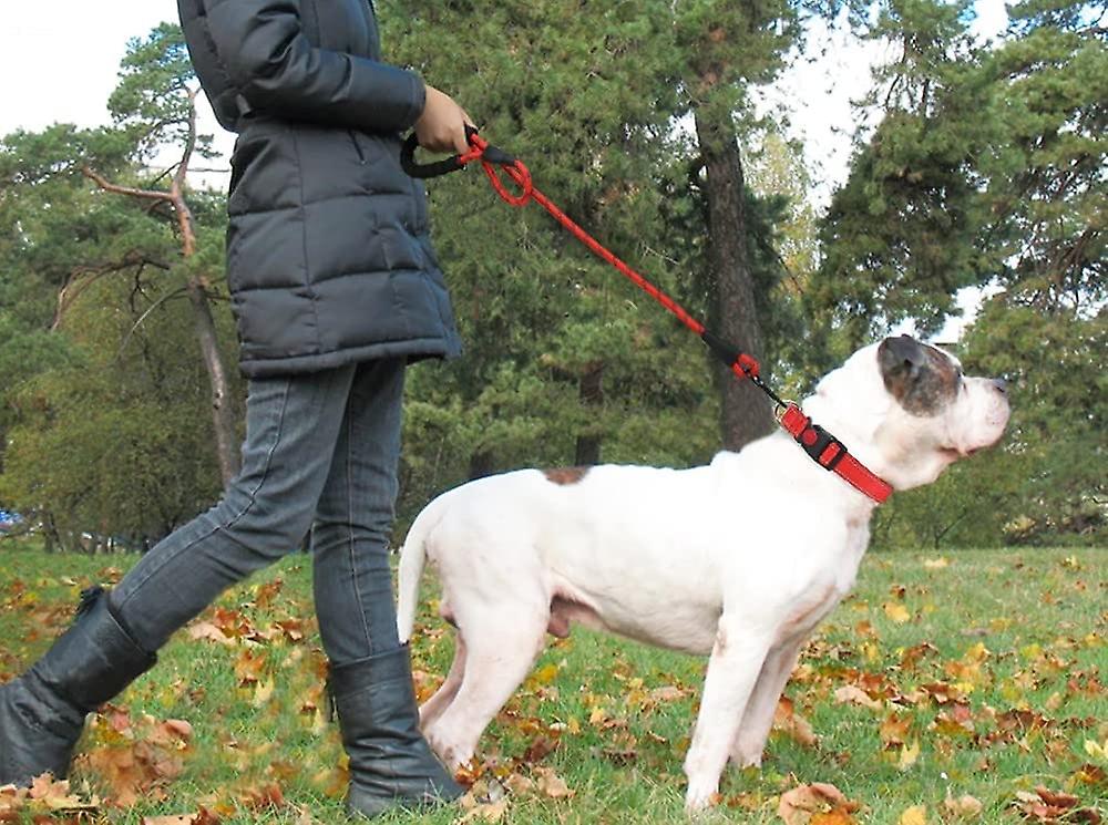 Cuerda De Correa Para Perros Huoguo Reflectante De 1,5 M Con Asa Acolchada Suave - Venta Internacional.
