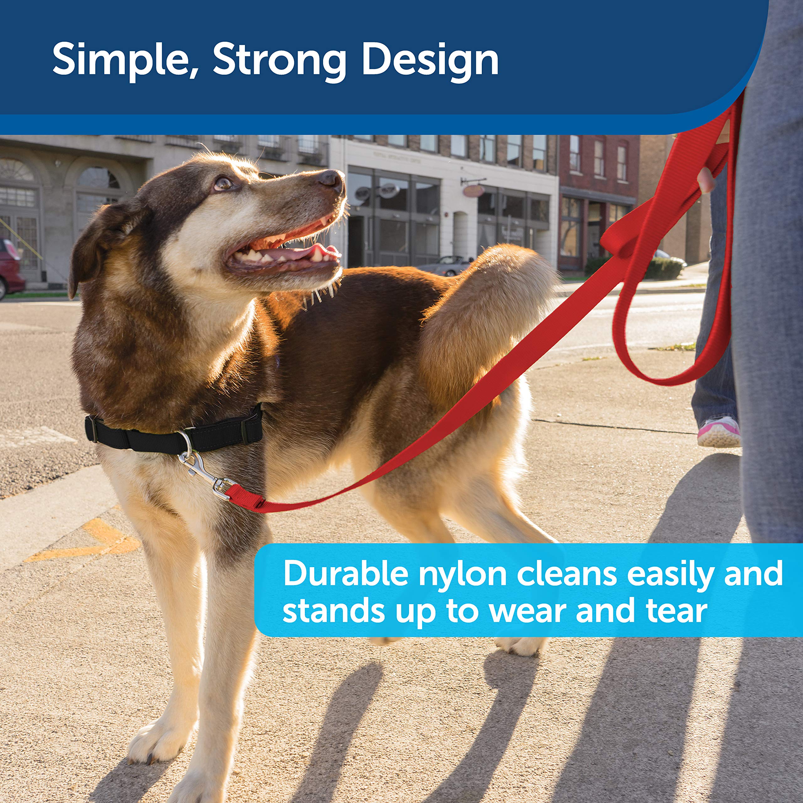Foto 4 | Correa Petsafe De Nailon Para Perros, 1 Pulgada X 1,2 M, Roja, Resistente Y Duradera - Venta Internacional.