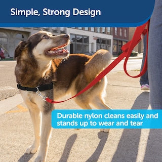 Foto 4 | Correa Petsafe De Nailon Para Perros, 1 Pulgada X 1,2 M, Roja, Resistente Y Duradera - Venta Internacional.