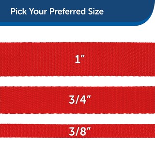 Foto 5 | Correa Petsafe De Nailon Para Perros, 1 Pulgada X 1,2 M, Roja, Resistente Y Duradera - Venta Internacional.