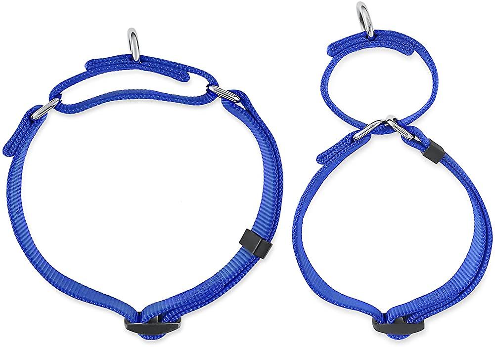 Foto 2 pulgar | Collar Martingale Huoguo De Nailon Fuerte Para Perros Medianos - Venta Internacional.
