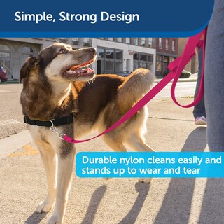 Foto 4 | Correa Petsafe De Nailon Para Perros, 3/4 Pulgadas X 3 Pies, Fuerte Y Duradera, Rosa - Venta Internacional.