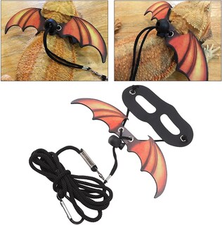 Foto 2 | Correa Para Reptiles, Dragones Barbudos, Resistente Al Desgaste, Multiusos - Venta Internacional.