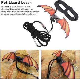 Foto 4 | Correa Para Reptiles, Dragones Barbudos, Resistente Al Desgaste, Multiusos - Venta Internacional.