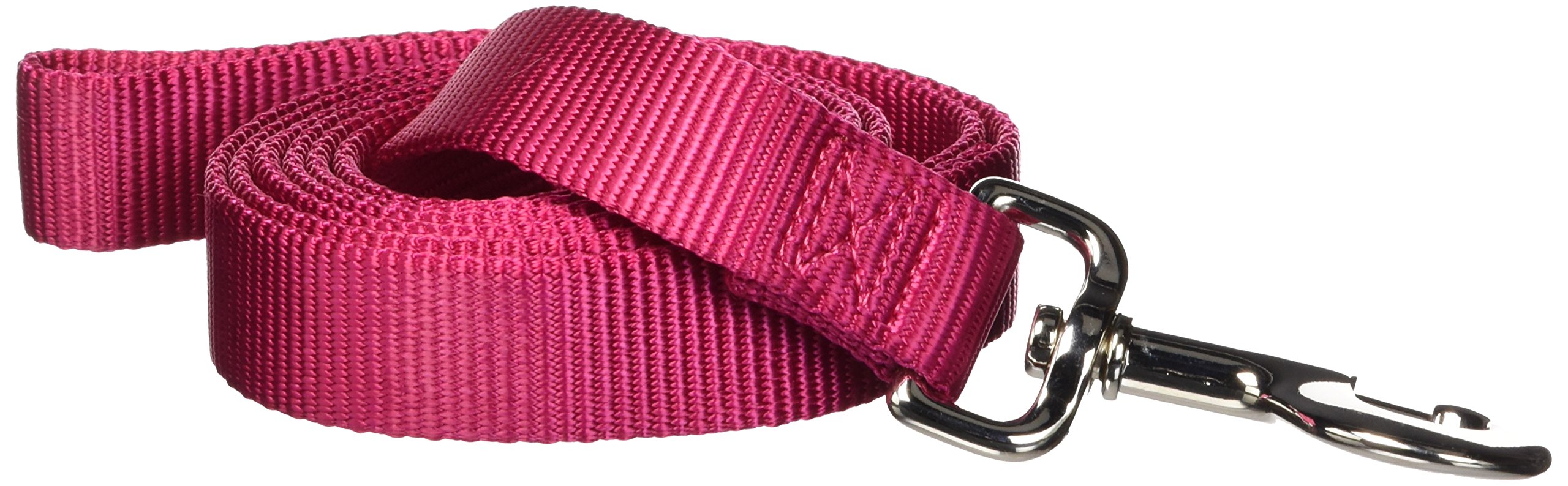 Correa Para Perros Hamilton De Nailon Grueso, Única, 2,54 Cm X 1,83 M, Color Frambuesa - Venta Internacional.