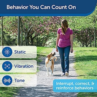 Foto 3 | Remote Trainer Petsafe Remote 900 M Para Perros - Venta Internacional.