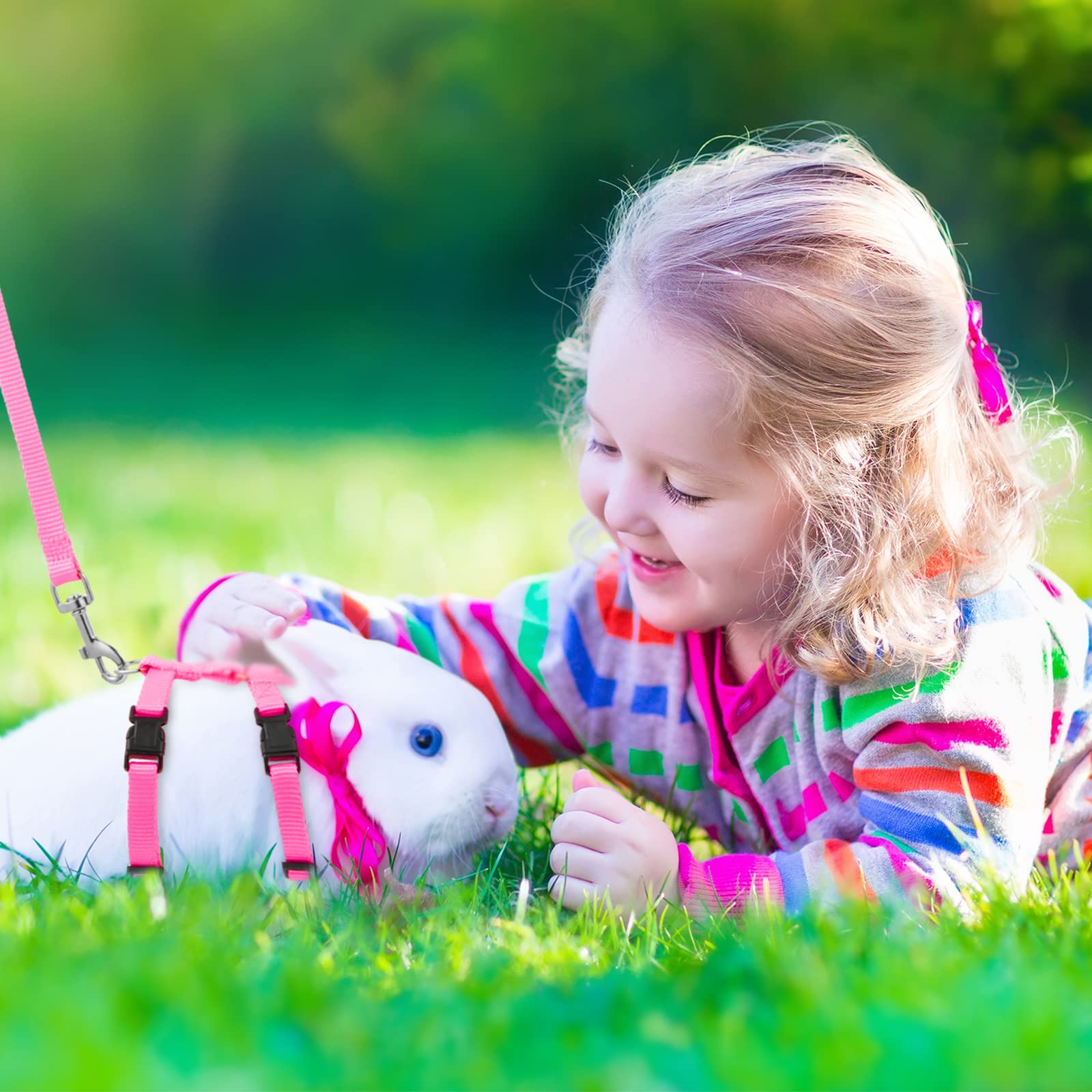 Foto 4 pulgar | Juego De Arneses Para Mascotas Para Conejos, Gatitos, Cachorros Y Hurones (5 Unidades) - Venta Internacional.
