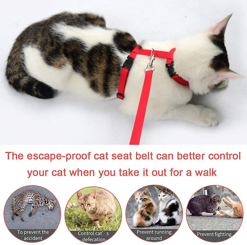 Foto 4 | Arnés Para Gatos Kitte Huoguo Ajustable De Nailon Con Correa De 120 Cm - Venta Internacional.