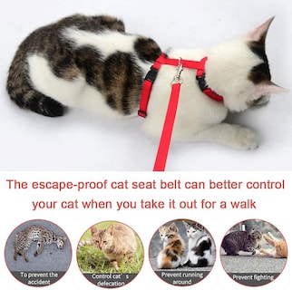 Foto 4 | Arnés Para Gatos Kitte Huoguo Ajustable De Nailon Con Correa De 120 Cm - Venta Internacional.