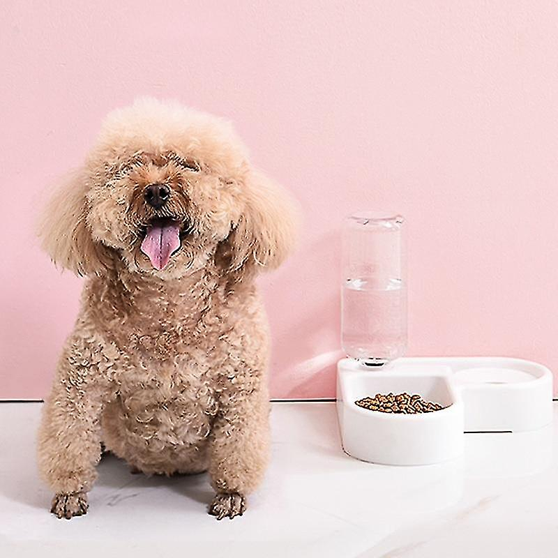 Foto 5 pulgar | Comederos Automáticos Para Mascotas Y Bebederos Para Perros Y Gatos | Huoguo - Venta Internacional.