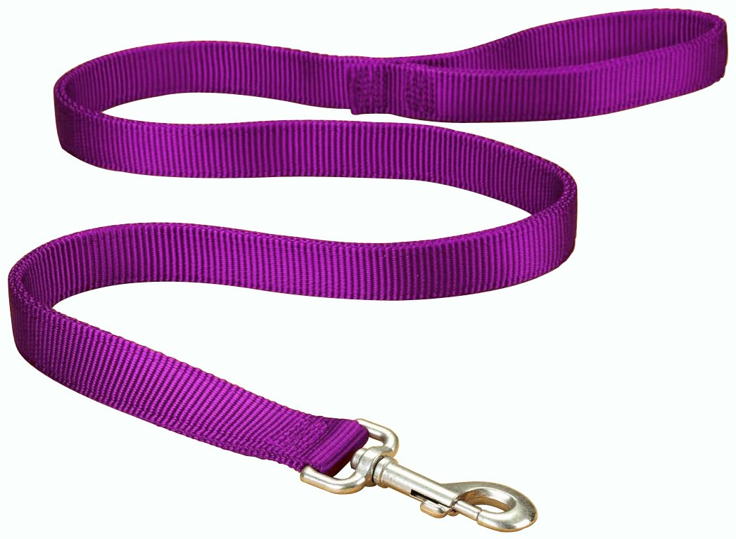 Correa Para Pasear Perros Hamilton, Doble Grosor, Nailon, 2,54 Cm X 1,22 M - Venta Internacional.