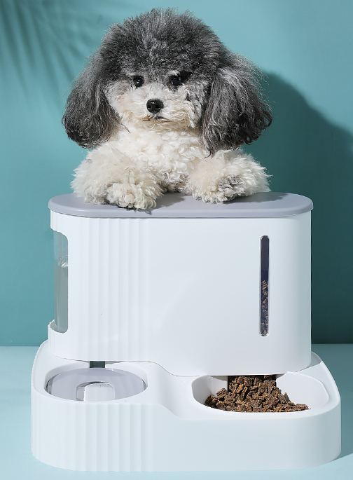 Set De Comedero Automático Para Mascotas Y Dispensador De Comida Para Gatos Con Fuente De Agua - Venta Internacional.