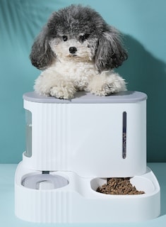 Foto 1 | Set De Comedero Automático Para Mascotas Y Dispensador De Comida Para Gatos Con Fuente De Agua - Venta Internacional.