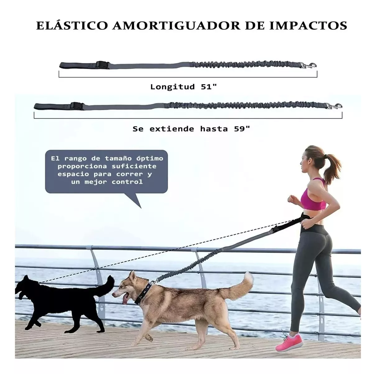 Foto 4 pulgar | Riñonera Correa para Perro Manos Libres Eo Safe Imports ESIi-16184 Negra