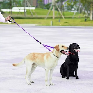 Foto 3 | Correas Para Doble Perros Resistencia Fuerte Rotación 360 ° Eo Safe Imports Esi-17255 Purpura