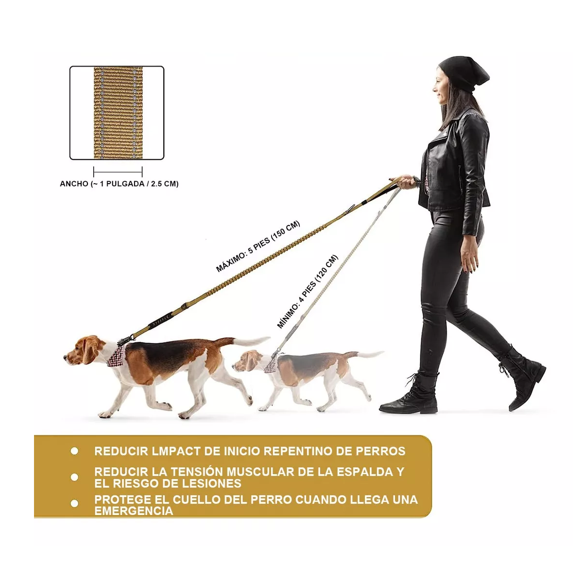 Foto 2 | Correa Cinturón De Seguridad Para Perro Grande Reflectante Eo Safe Imports Esi-17257 Beige