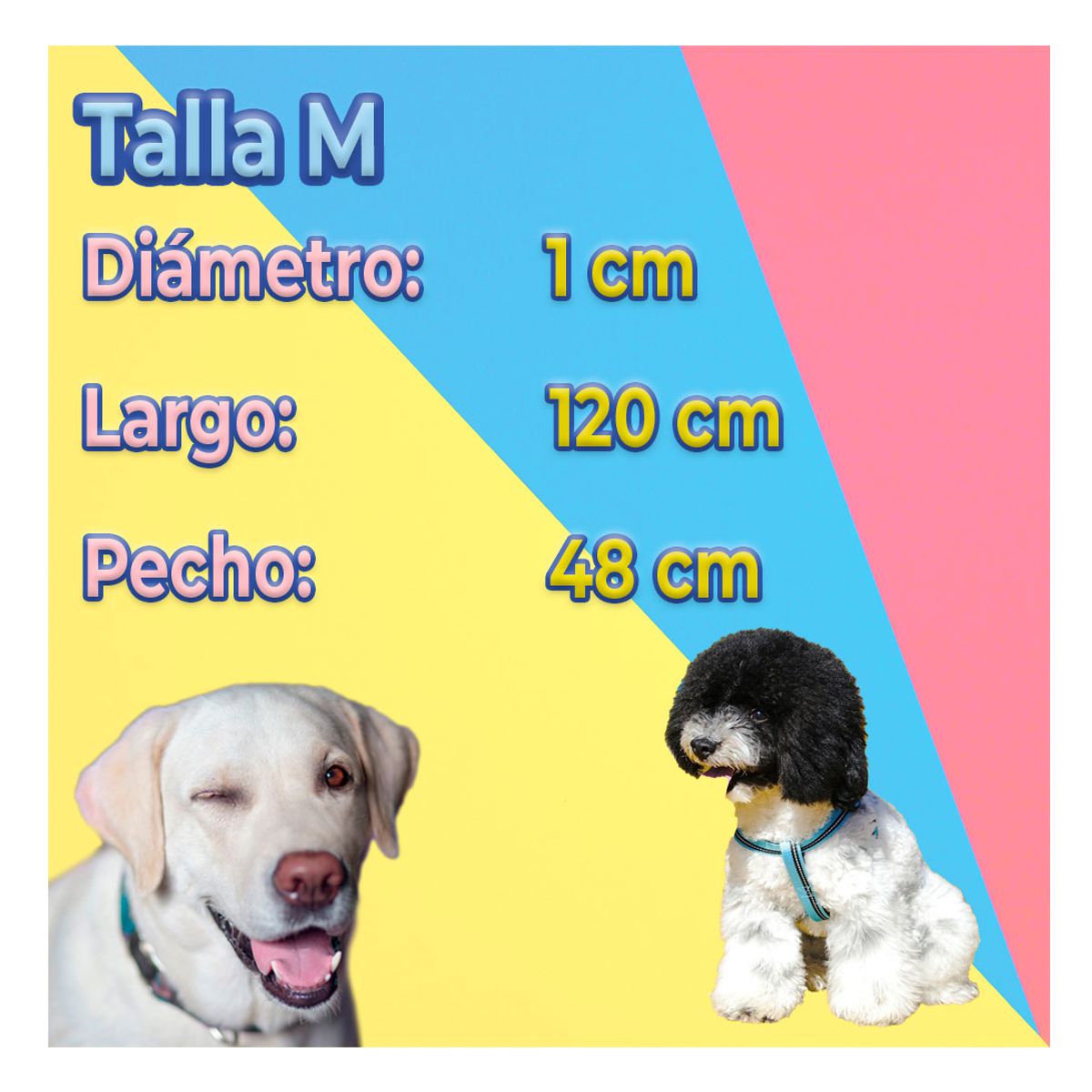 Foto 5 pulgar | Kit de Arnés y Correa para Mascota Talla Mediana