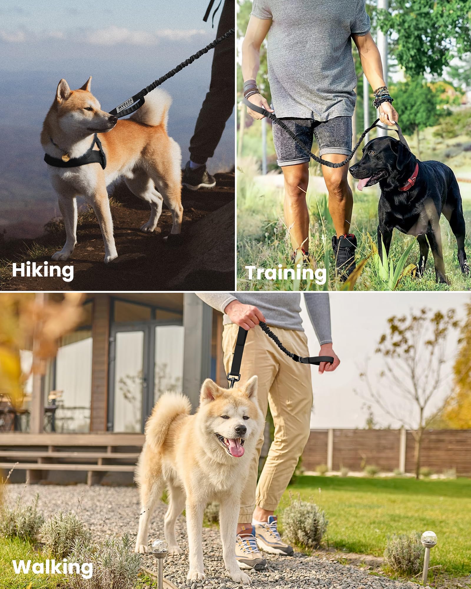 Foto 7 pulgar | Correa Elástica Para Perros Outdoormaster, De Alta Resistencia, Absorción De Impactos - Venta Internacional.