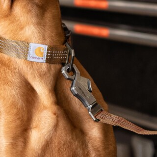Foto 5 | Correa Para Perro Carhartt Marrón/latón Cepillado, Grande - Venta Internacional.