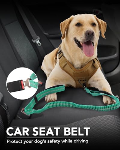Foto 6 pulgar | Correa Táctica Para Perros Joytale, Resistente, Absorbe Los Golpes, Color Verde Azulado - Venta Internacional.